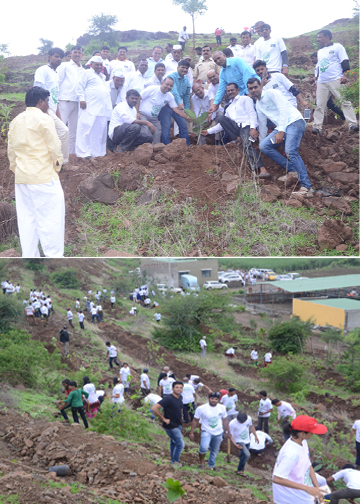 Tree plantation at Village Chinchoshi, Tal Khed Dist –Pune.