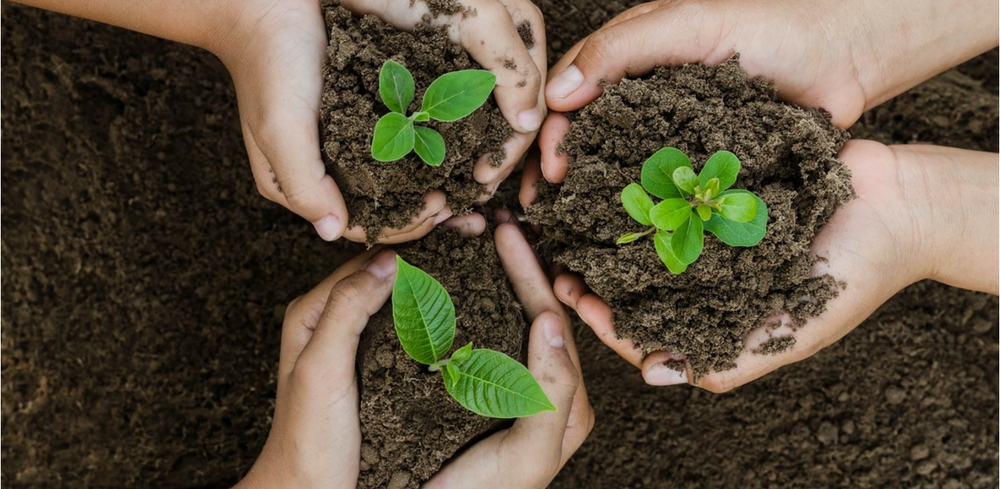 Protection and promotion of Environment - Tree Plantation at Harris Bridge, Pune